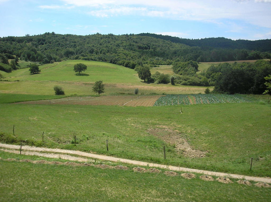 Agroturism Stara Štala Hotel Borut Bagian luar foto